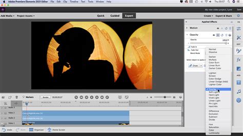 premiere elements|adobe première éléments 2021.